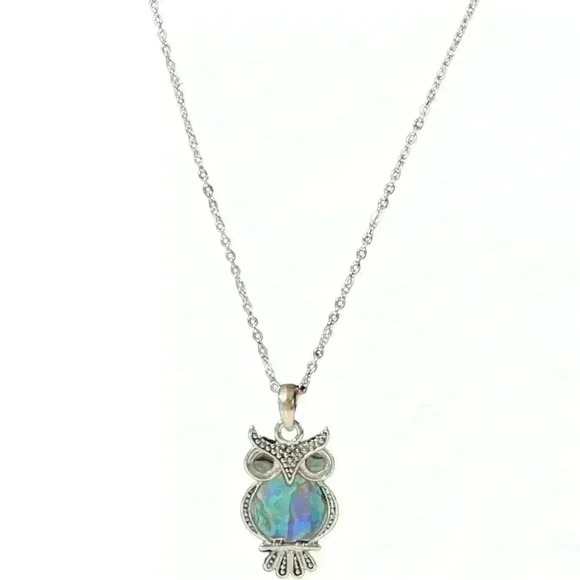 🎉2/$17🎉 Cute iridescent abalone shell silver owl necklace - Picture 3 of 6